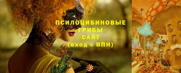 меф Алексин